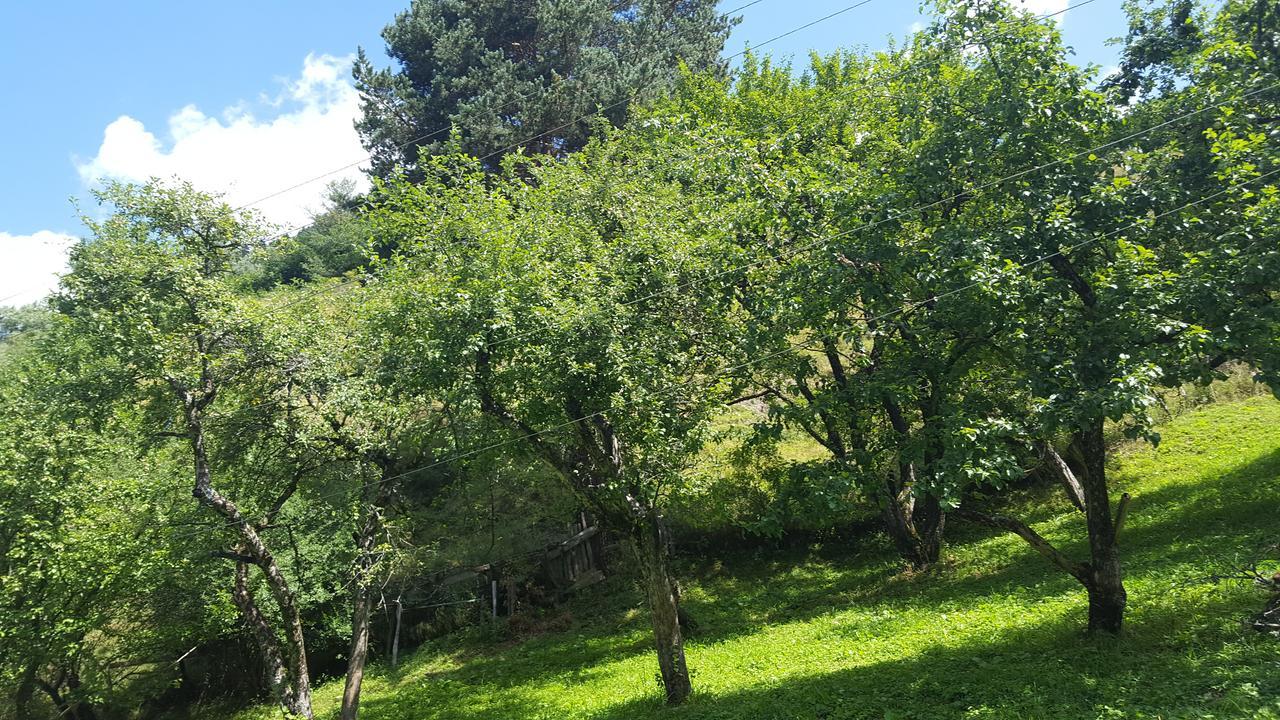 梅斯蒂亚Raul Lushnu Darbaz住宿加早餐旅馆 外观 照片