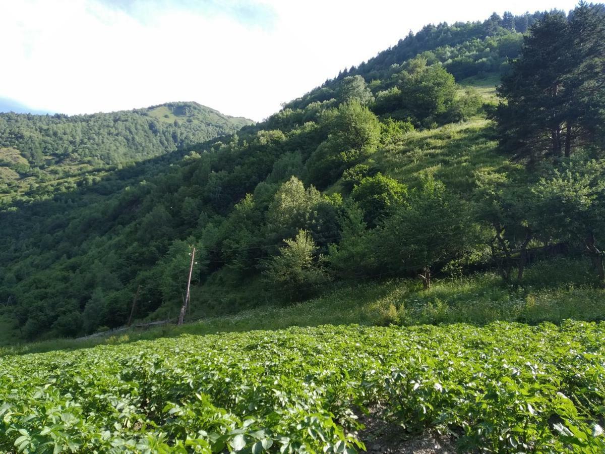 梅斯蒂亚Raul Lushnu Darbaz住宿加早餐旅馆 外观 照片